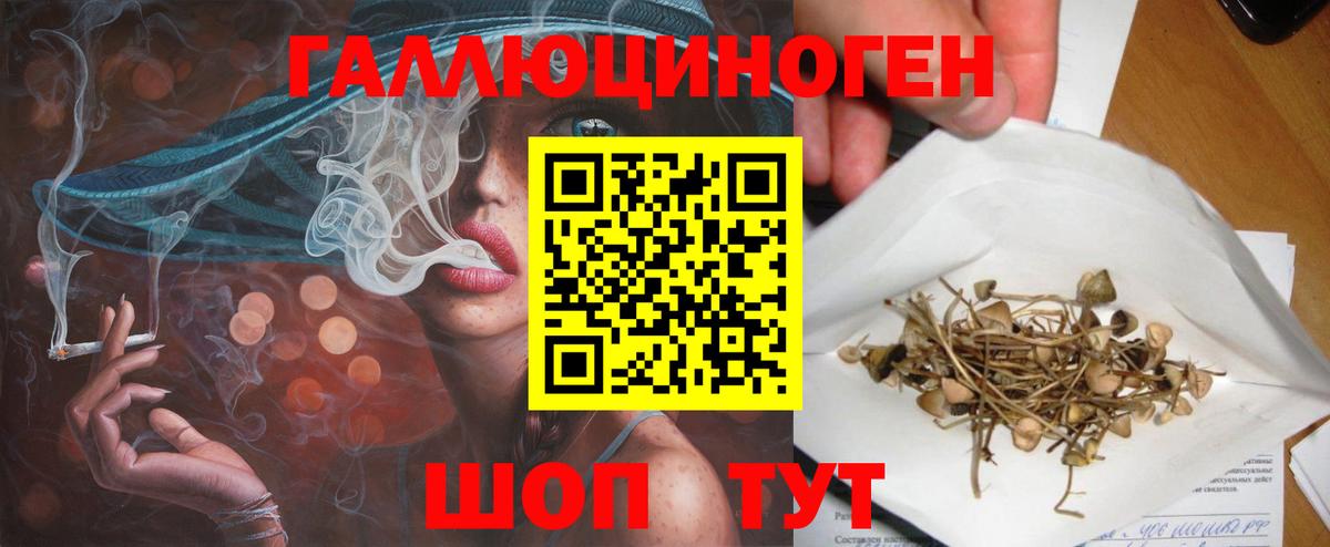 Галлюциногенные грибы мицелий Ростов-на-Дону